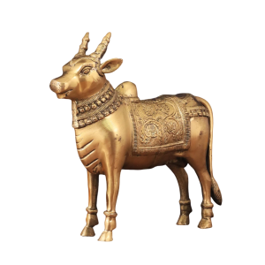 Brass Standing Nandi Statue | 16" x 15" x 4" | 9.3 kg | Golden Finish | Traditional Hindu Temple Bull Sculpture | Sacred Art | Jaipurio